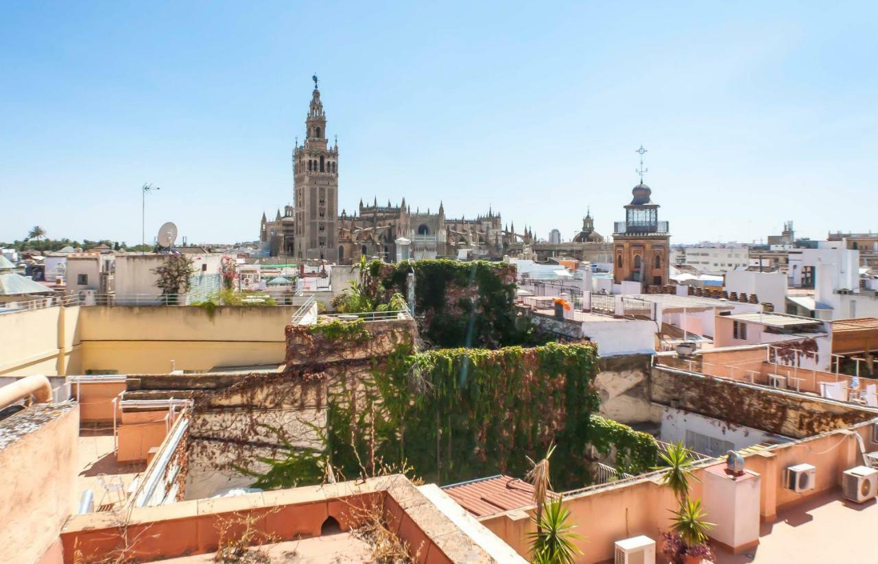 Pajaritos Palace By Valcambre Appartement *
